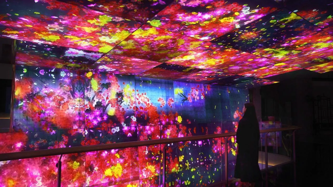 深圳「teamLab共創！未來園」