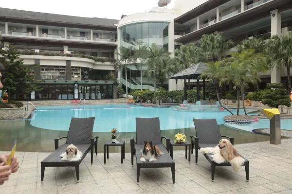 圖片來源：官方網站、U Lifestyle