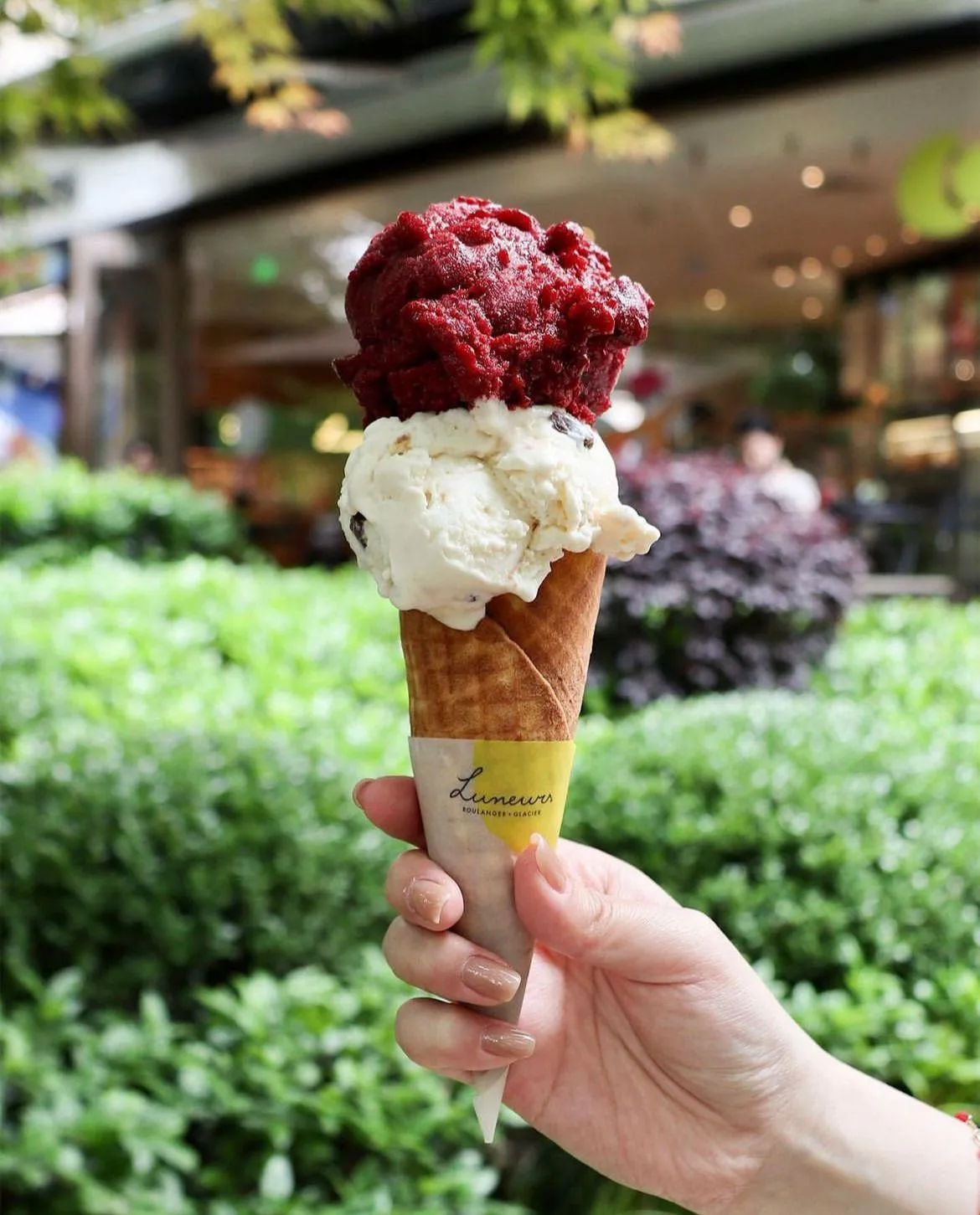 圖片來源：官方網站、U Lifestyle