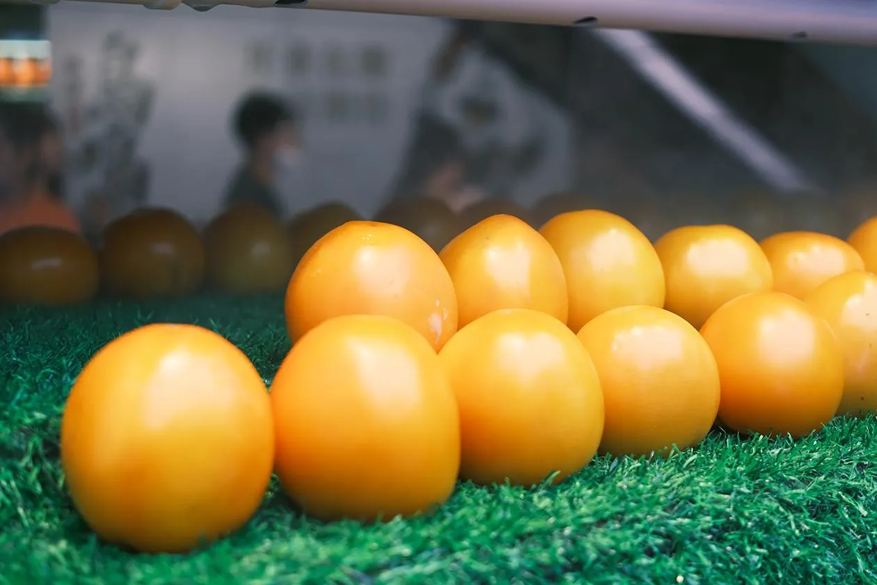 圖片來源：官方網站、U Lifestyle