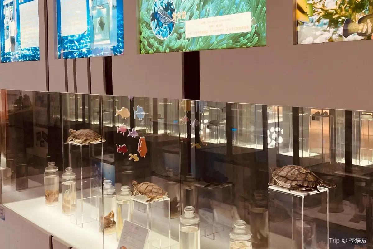 圖片來源：官方網站、U Lifestyle