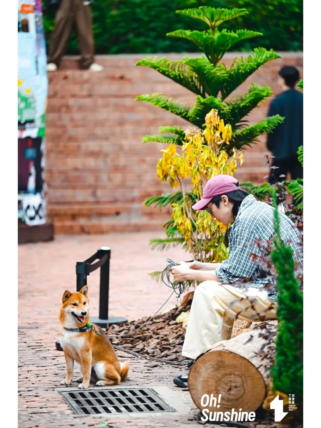 圖片來源：官方網站、U Lifestyle