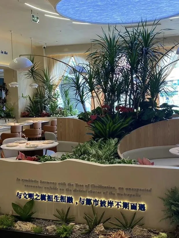 Tree-Co（福田COCOPark店）