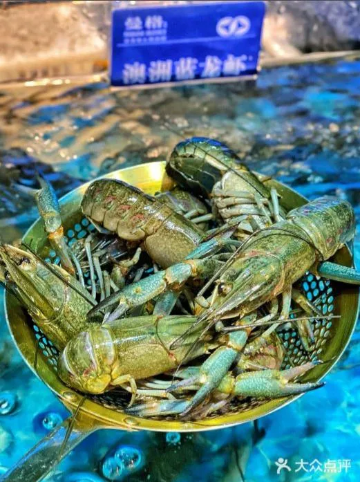 圖片來源：官方網站、U Lifestyle