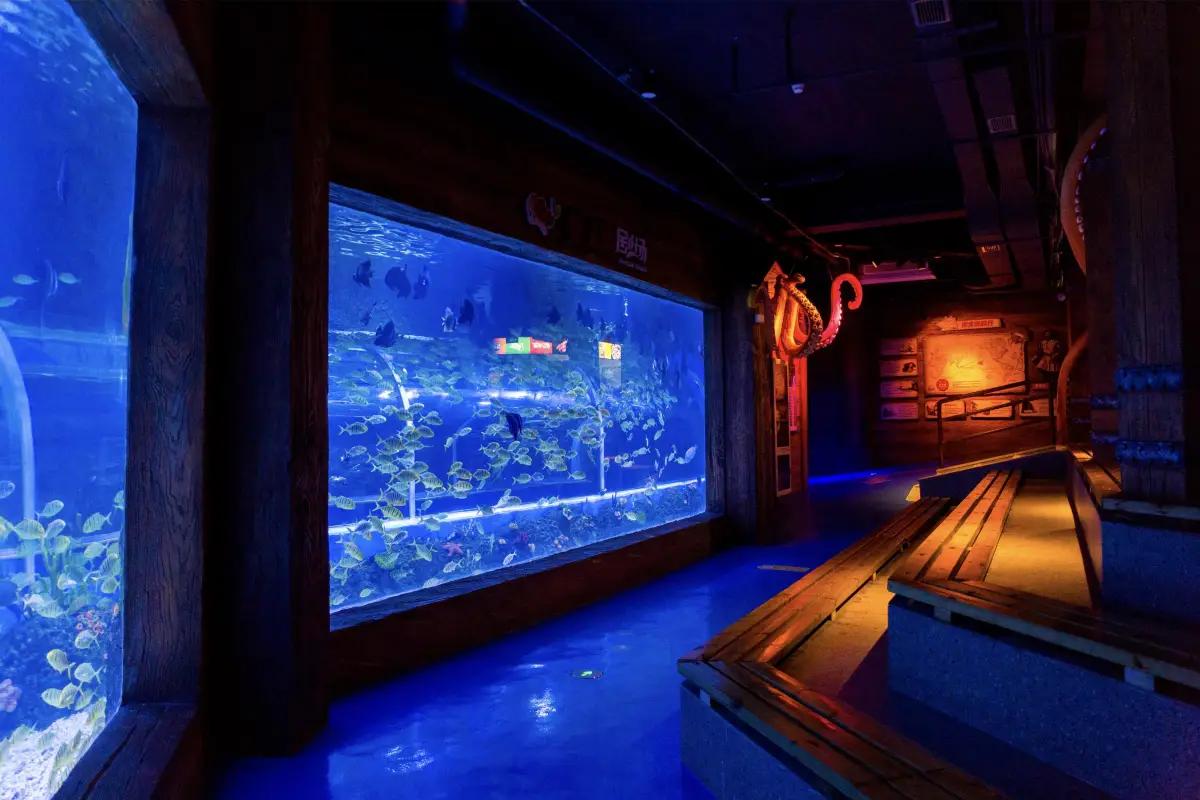 圖片來源：官方網站、U Lifestyle