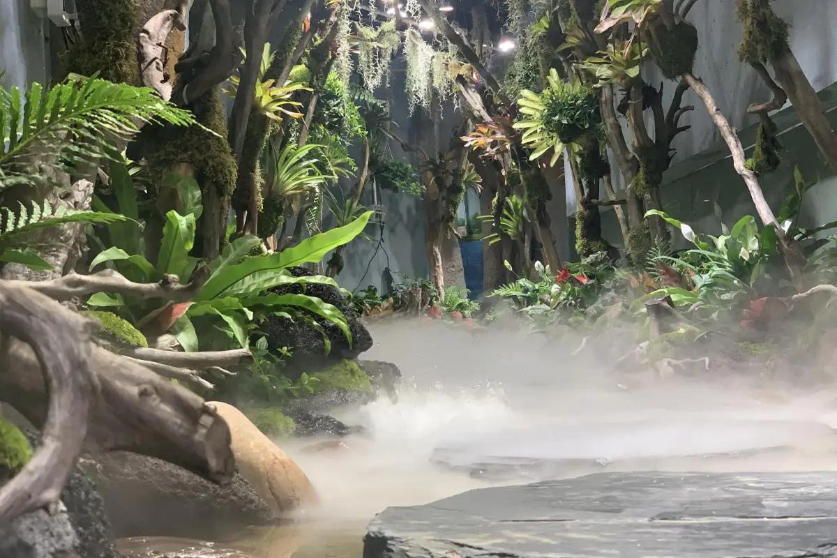 圖片來源：官方網站、U Lifestyle