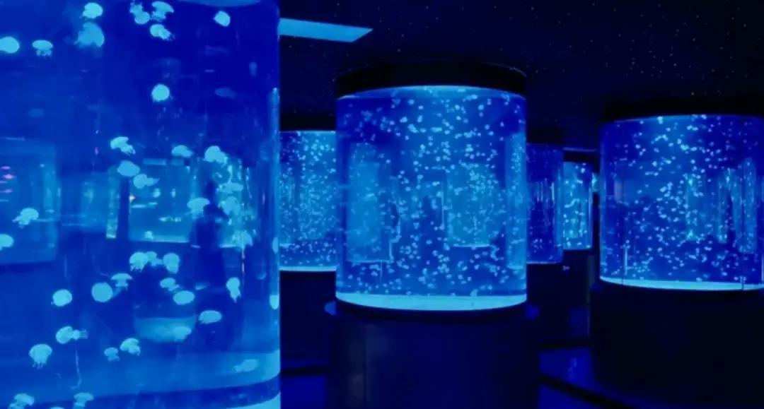 圖片來源：官方網站、U Lifestyle