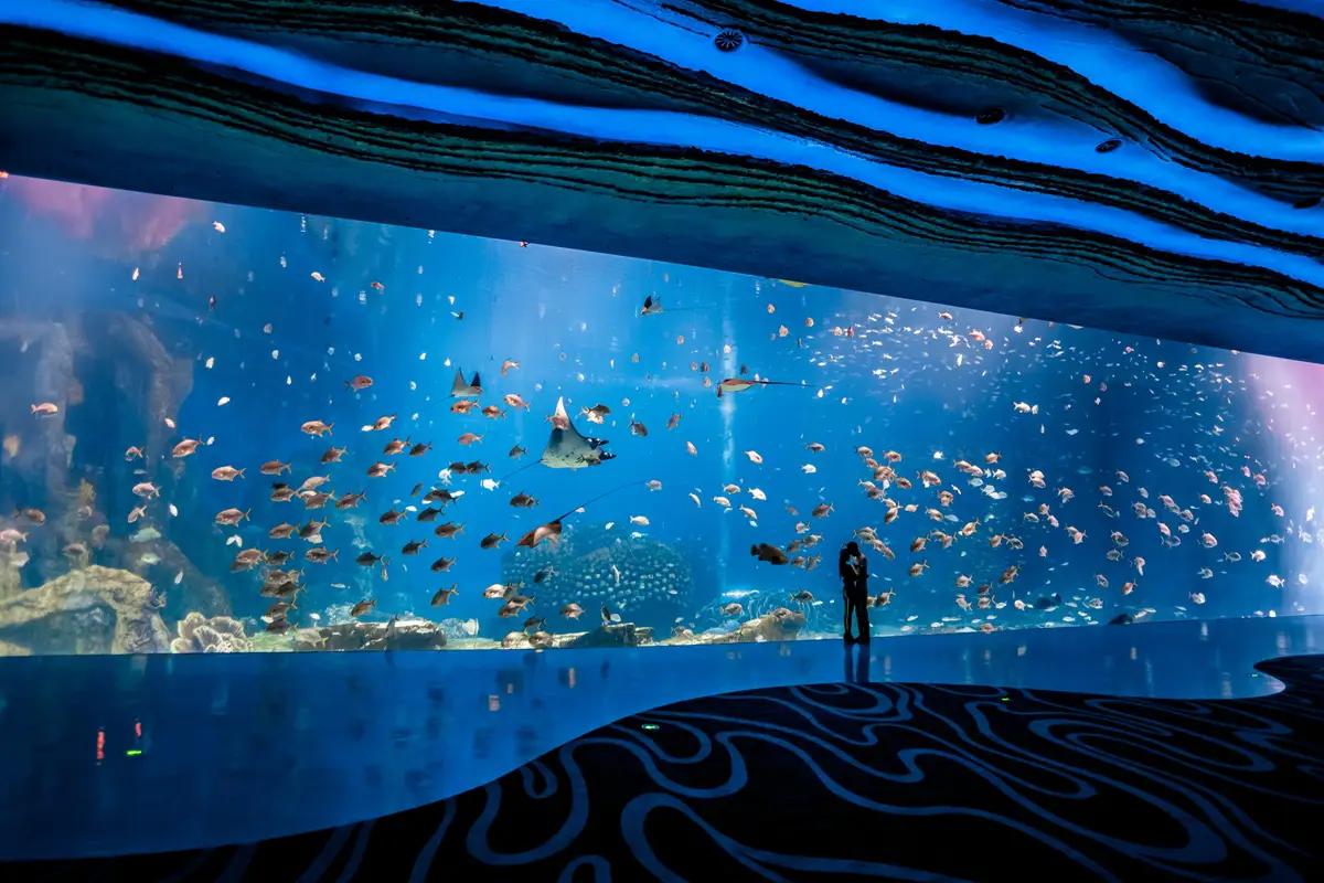 圖片來源：官方網站、U Lifestyle