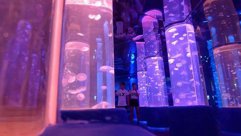 圖片來源：官方網站、U Lifestyle