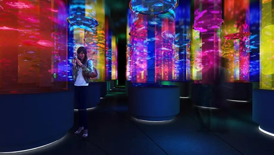 圖片來源：官方網站、U Lifestyle