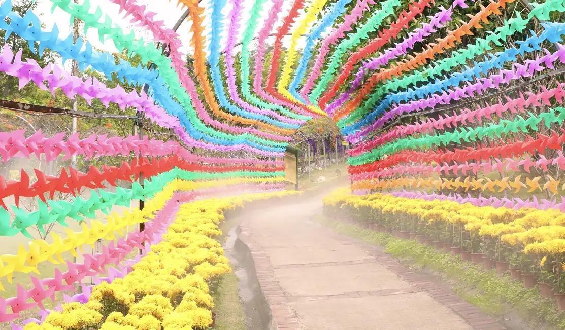 圖片來源：官方網站、U Lifestyle