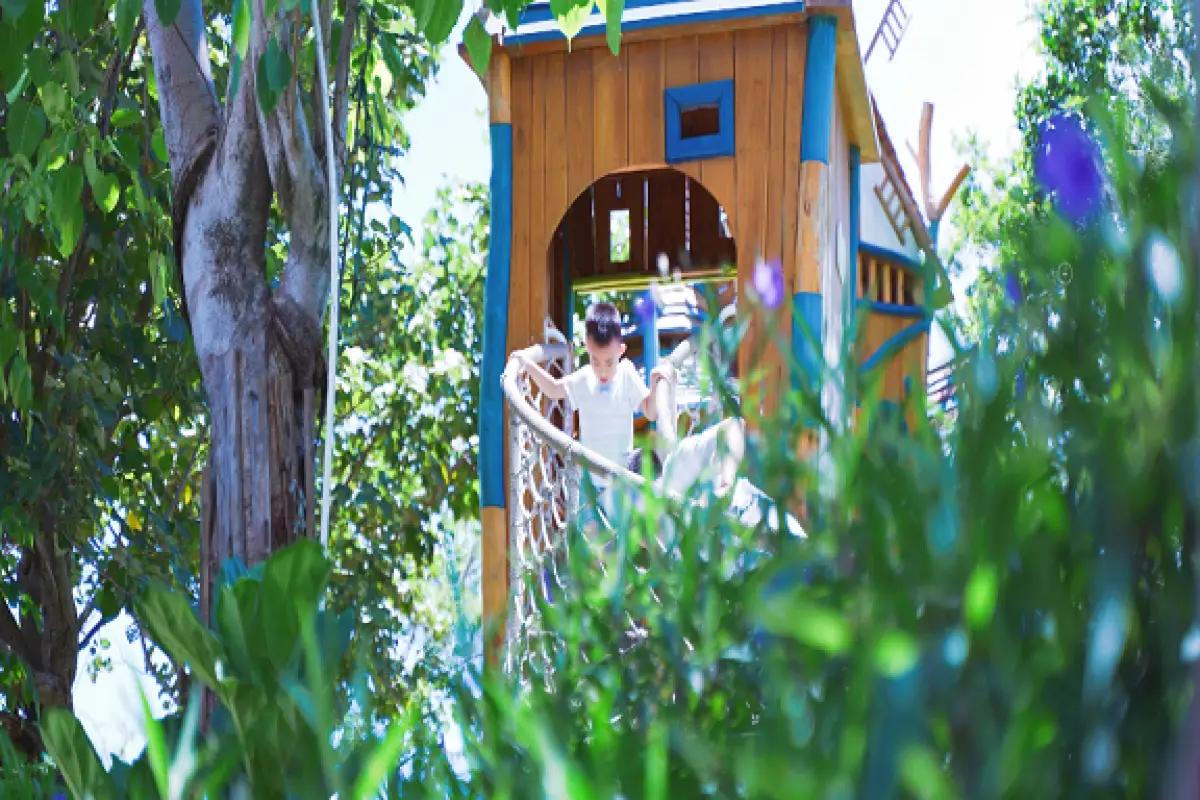 圖片來源：官方網站、U Lifestyle