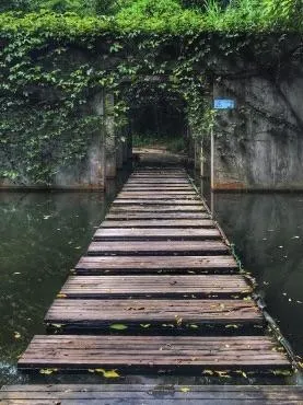 華僑城生態廣場