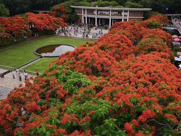 圖片來源：官方網站、U Lifestyle