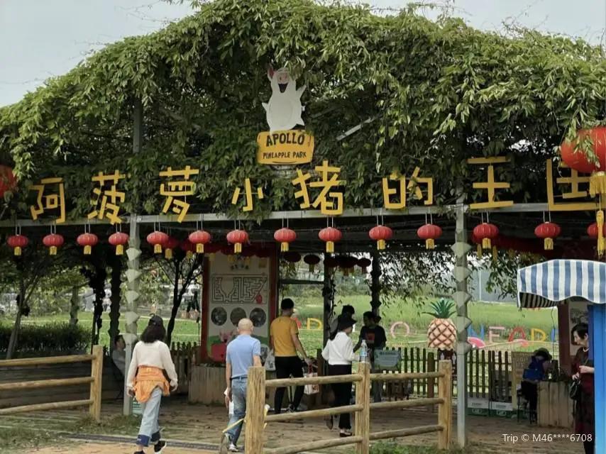 圖片來源：官方網站、U Lifestyle