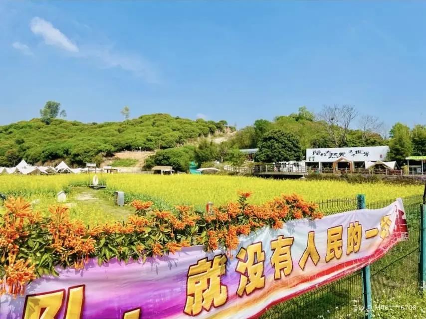 阿菠蘿小豬的王國