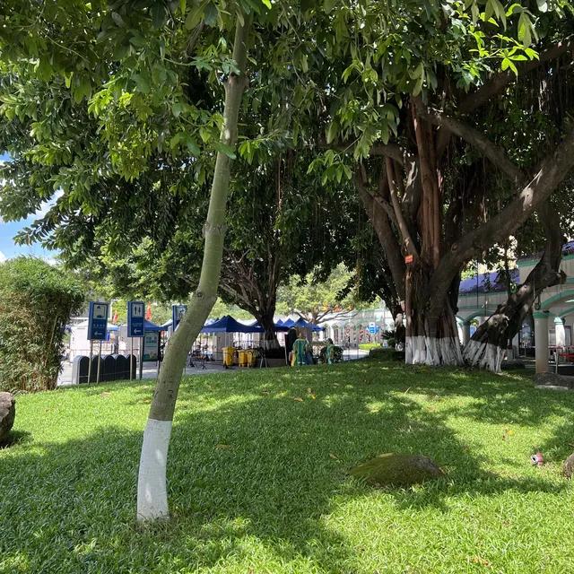 圖片來源：官方網站、U Lifestyle