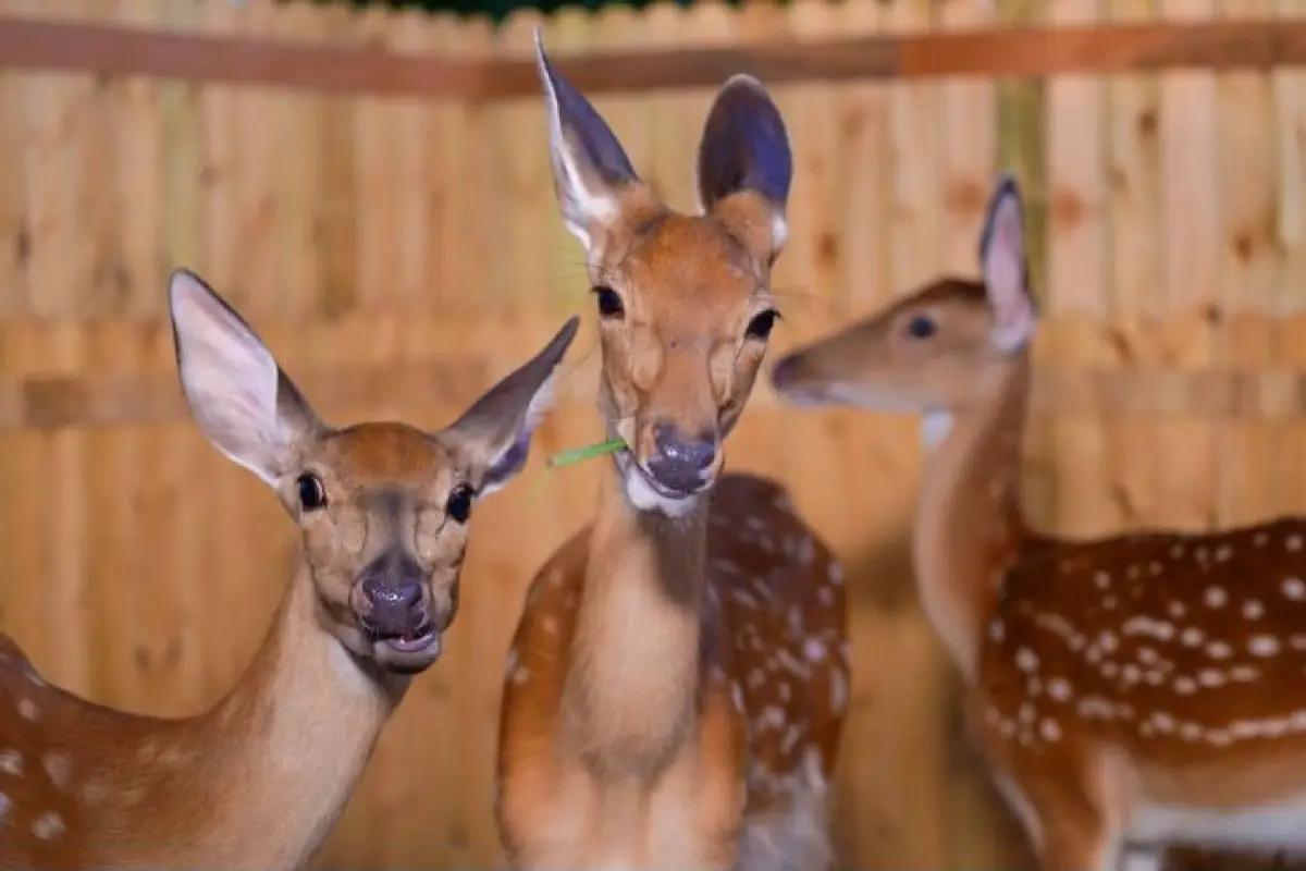 圖片來源：官方網站、U Lifestyle