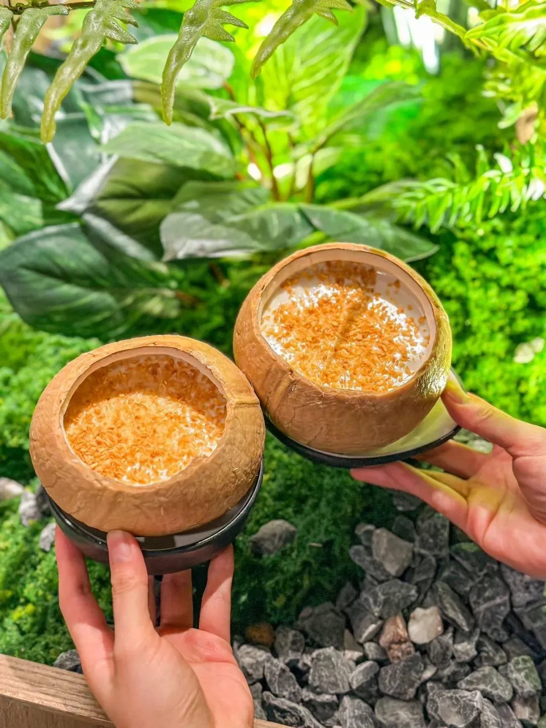 同仁四季椰子雞（西鄉滙一城天虹店）