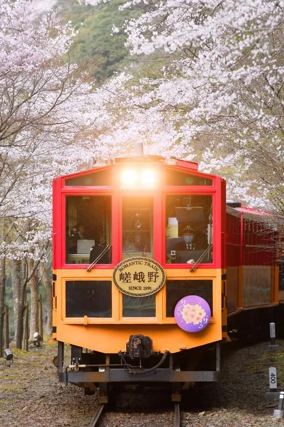 嵯峨野觀光鐵路