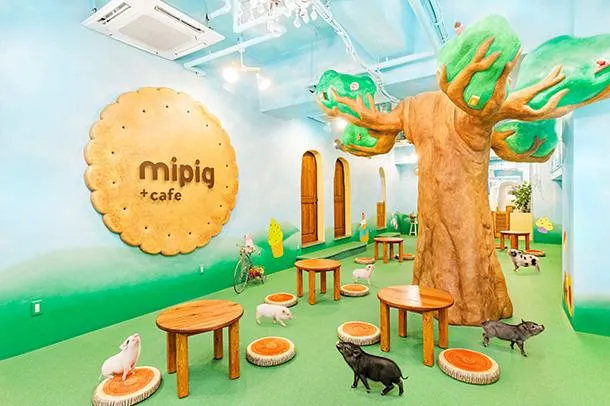 圖片來源：官方網站、U Lifestyle