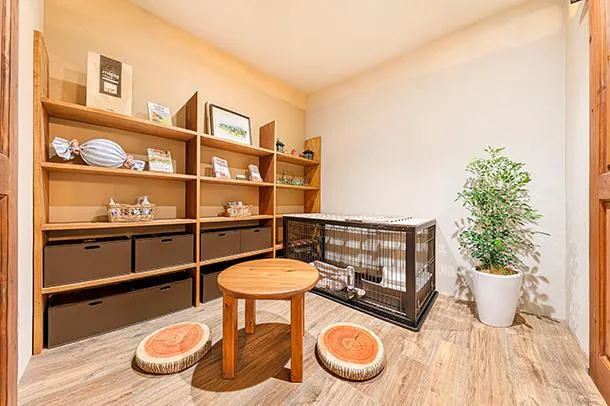 圖片來源：官方網站、U Lifestyle