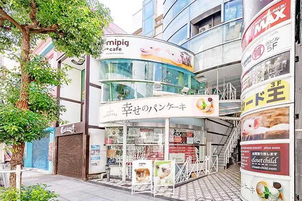 mipig cafe (大阪店)