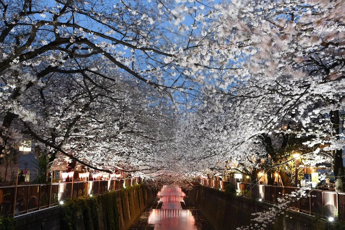 目黑川