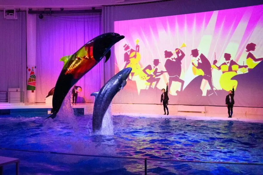 圖片來源：官方網站、U Lifestyle