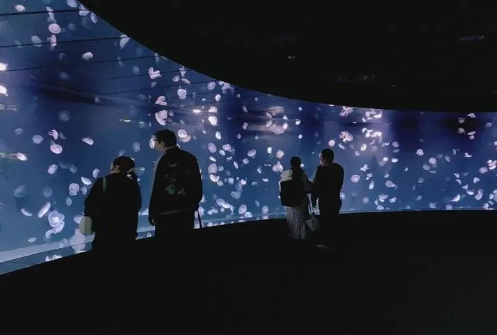 圖片來源：官方網站、U Lifestyle