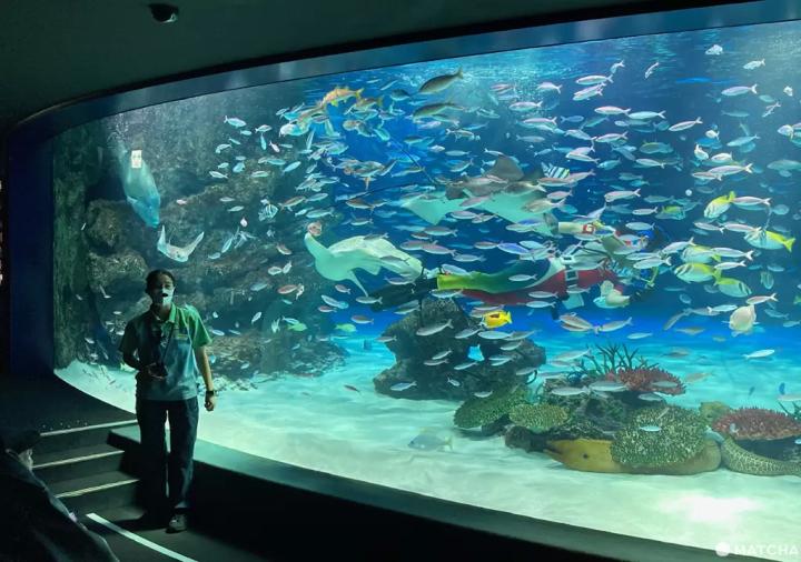 圖片來源：官方網站、U Lifestyle