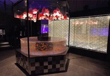 圖片來源：官方網站、U Lifestyle