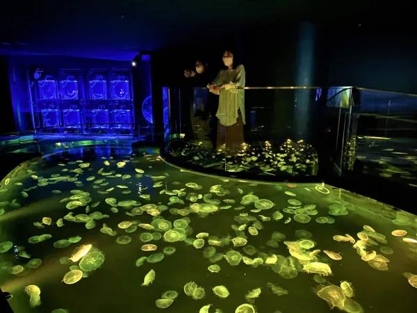 圖片來源：官方網站、U Lifestyle