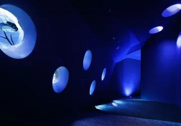 圖片來源：官方網站、U Lifestyle