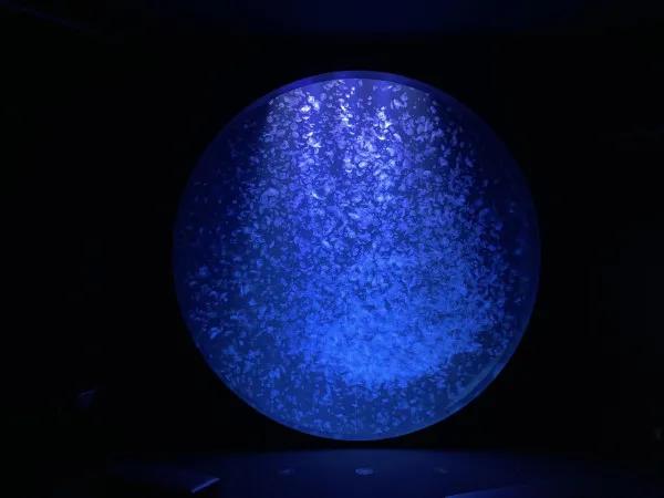 圖片來源：官方網站、U Lifestyle