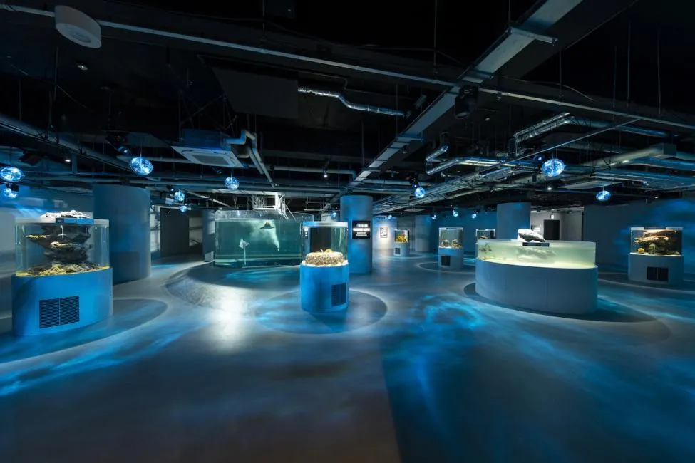 圖片來源：官方網站、U Lifestyle