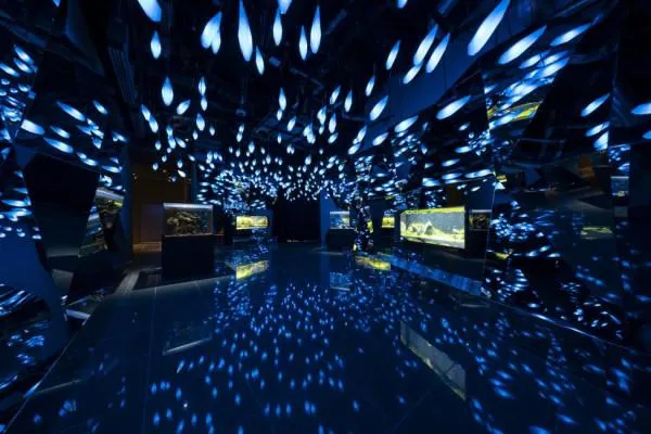 圖片來源：官方網站、U Lifestyle