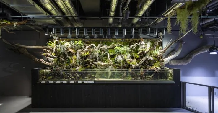 圖片來源：官方網站、U Lifestyle