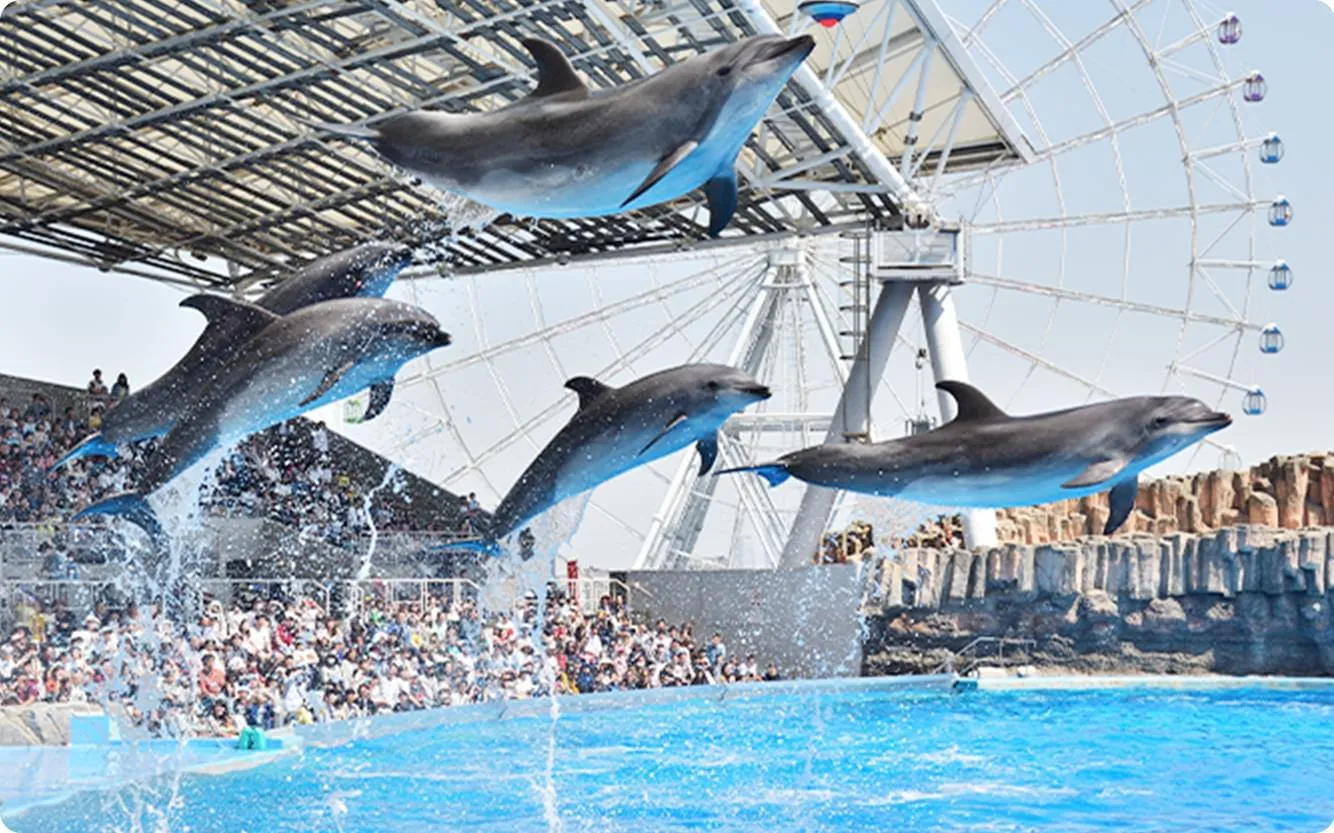 名古屋港水族館