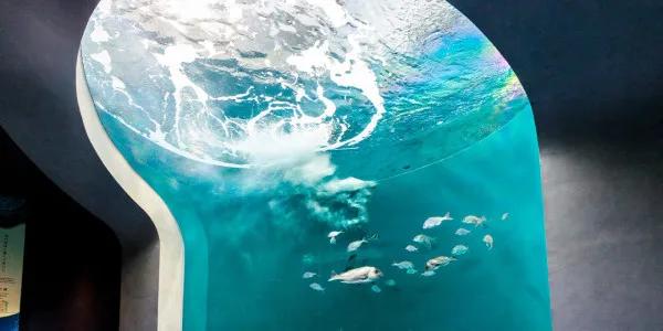 圖片來源：官方網站、U Lifestyle