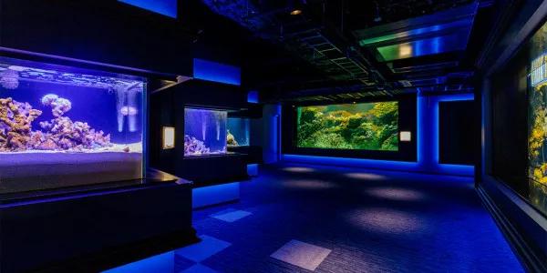 圖片來源：官方網站、U Lifestyle