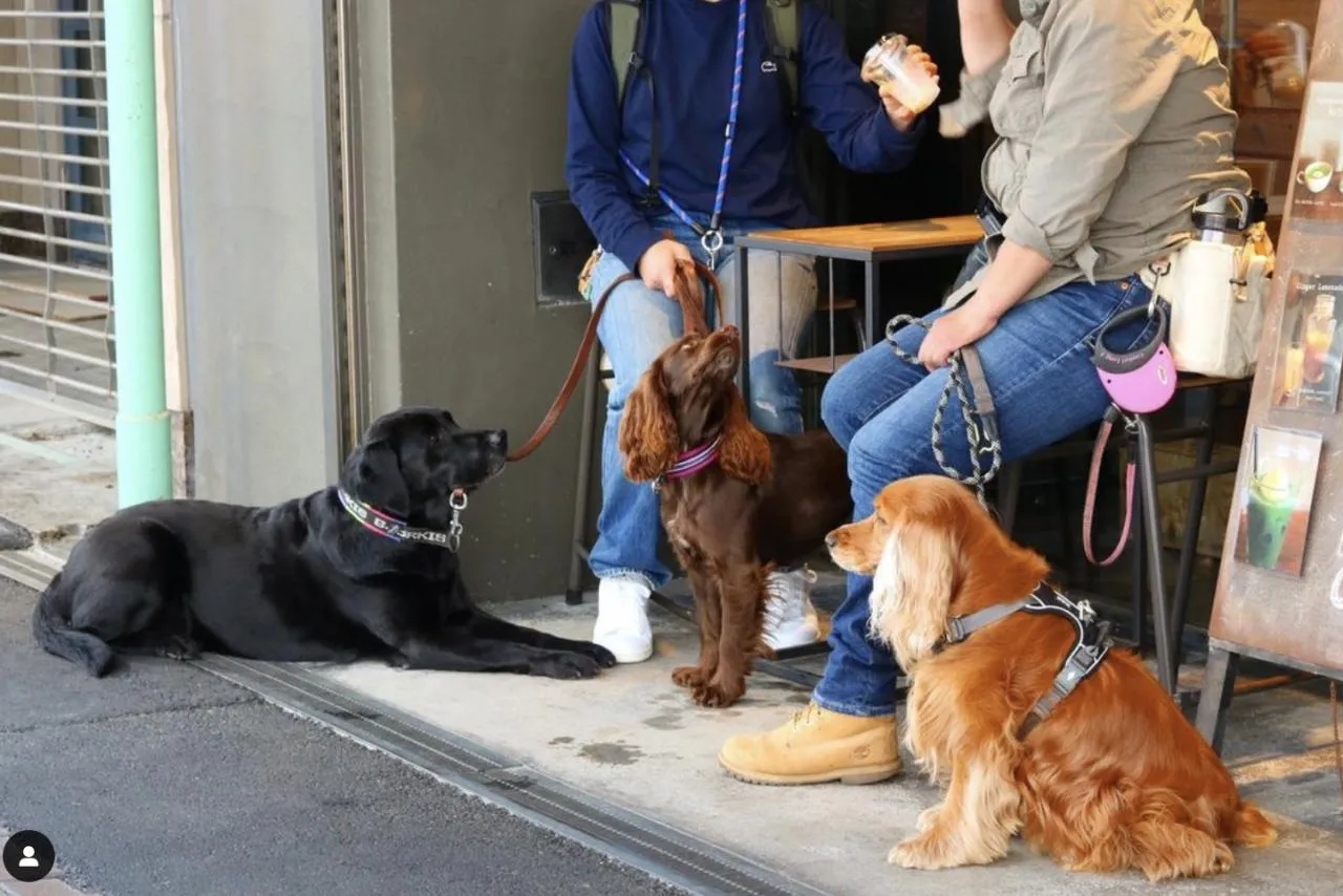 圖片來源：官方網站、U Lifestyle