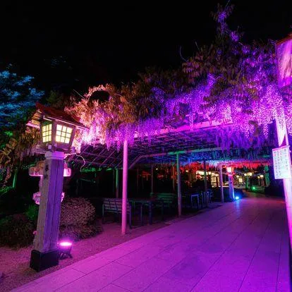 圖片來源：官方網站、U Lifestyle