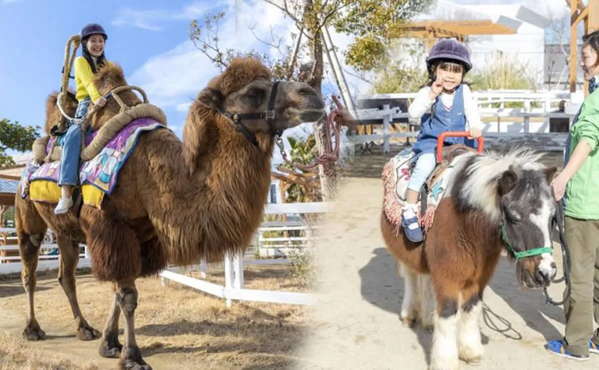 圖片來源：官方網站、U Lifestyle