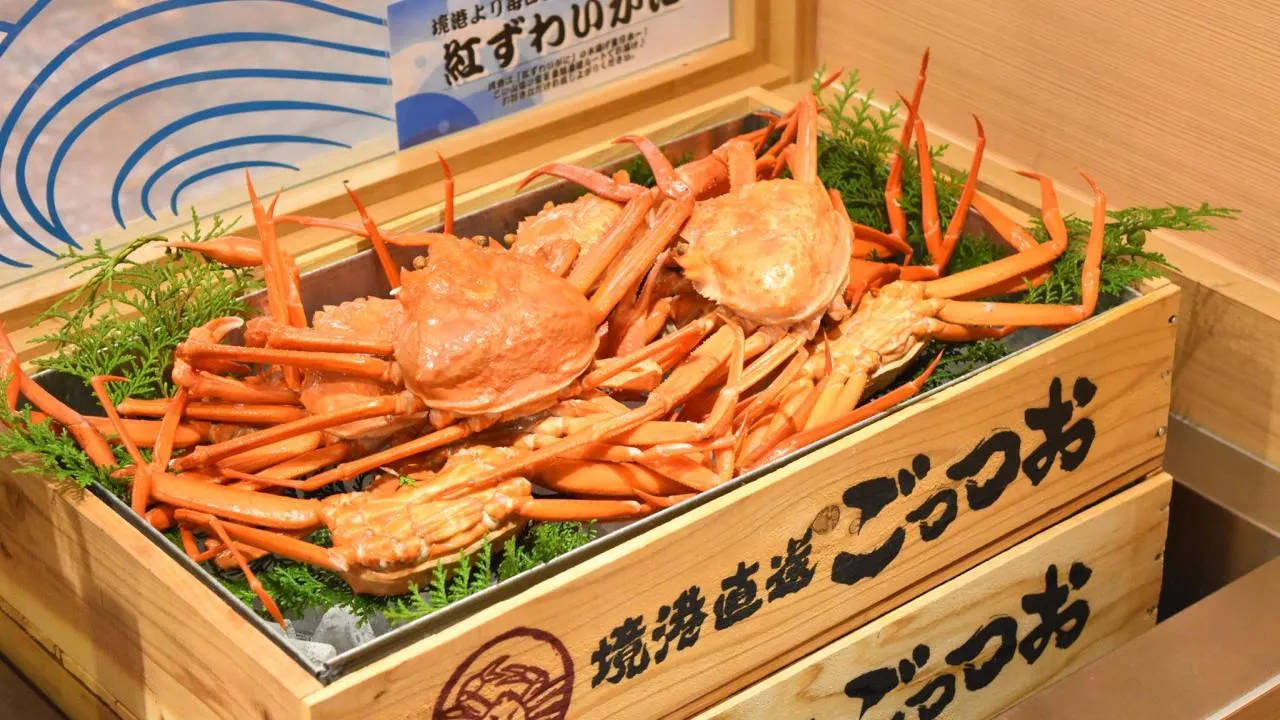 圖片來源：官方網站、U Lifestyle