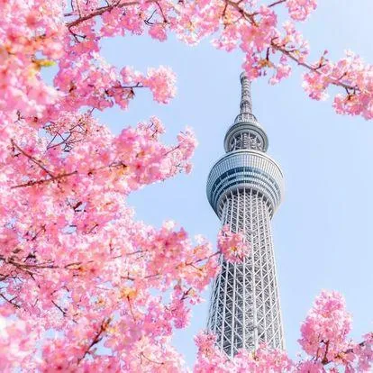 東京晴空塔