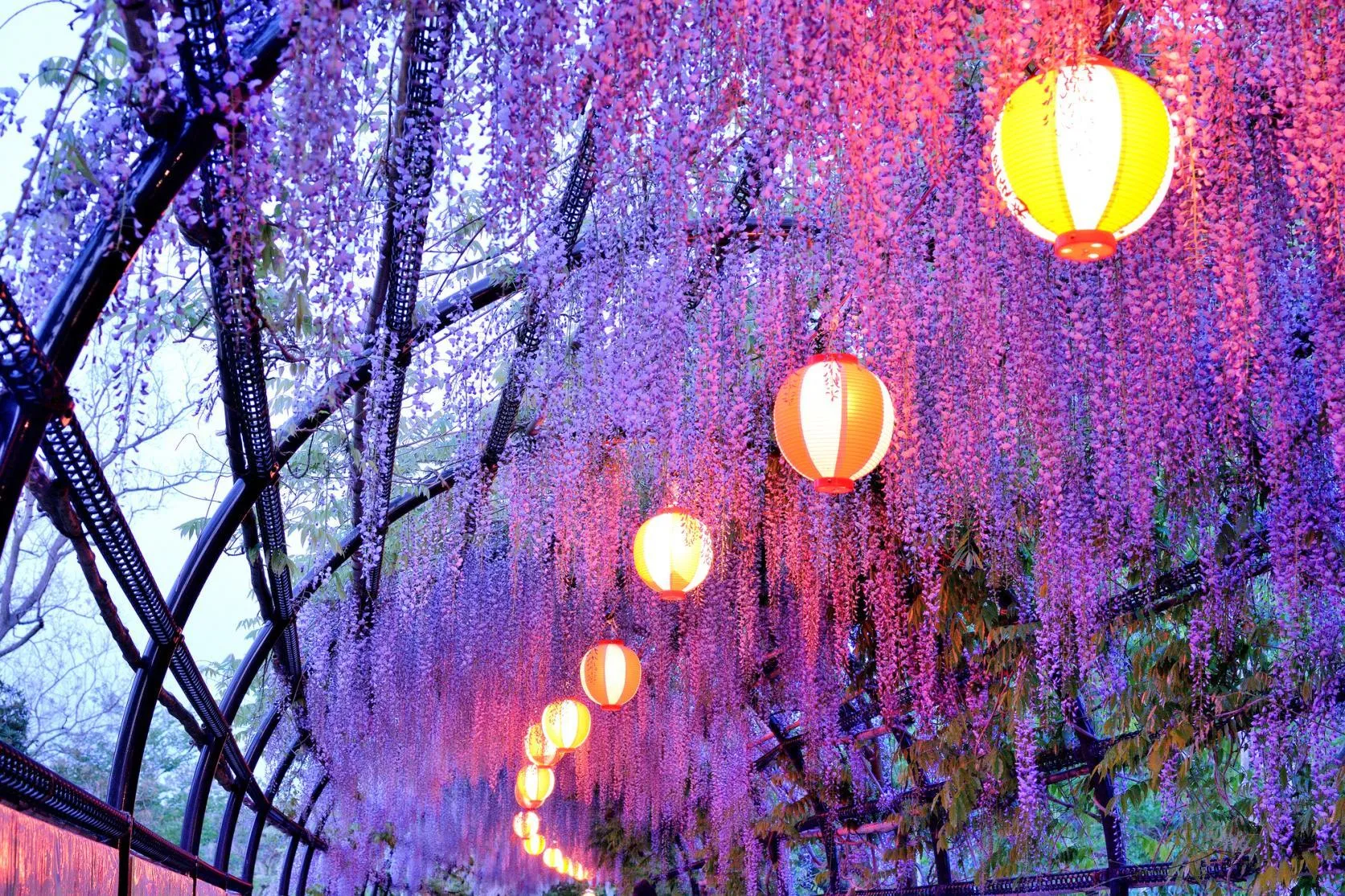 圖片來源：官方網站、U Lifestyle