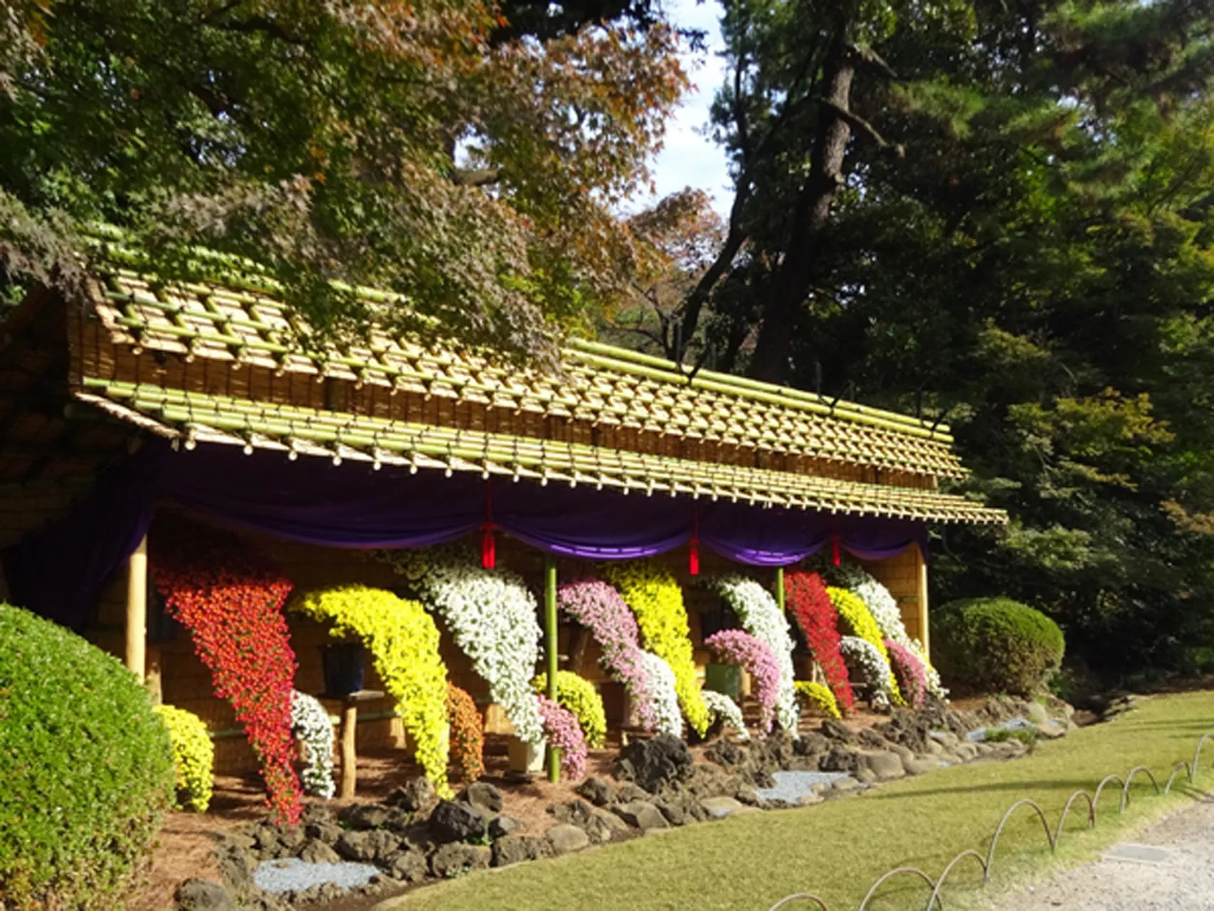 新宿御苑公園