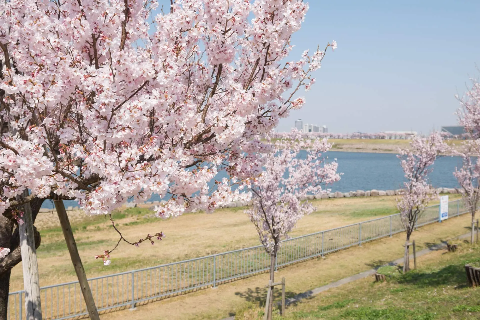 狹山池公園