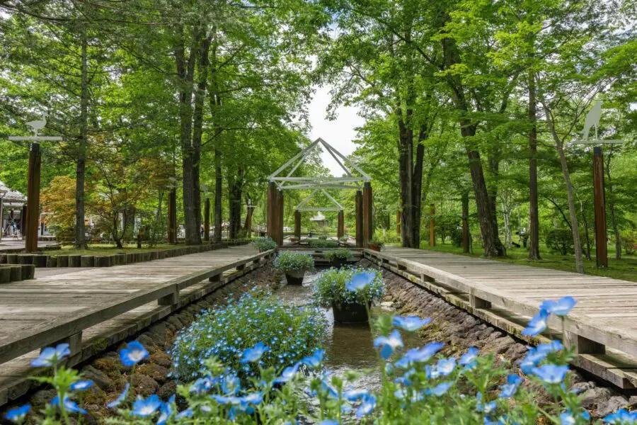 圖片來源：官方網站、U Lifestyle